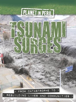 Tsunami Surges - ebook